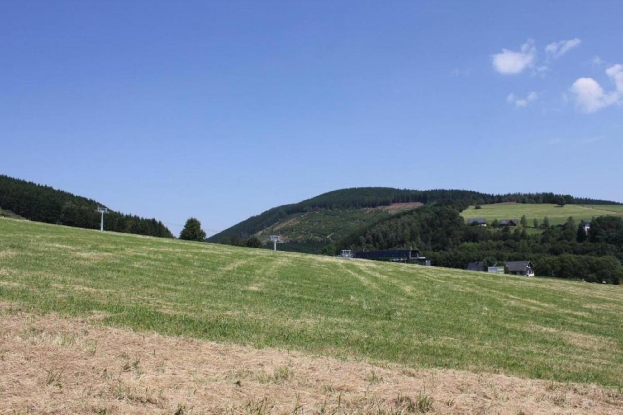 Ferienhaus Easy Holiday Am Ritzhagen Ehem Heinrichs Виллинген Экстерьер фото